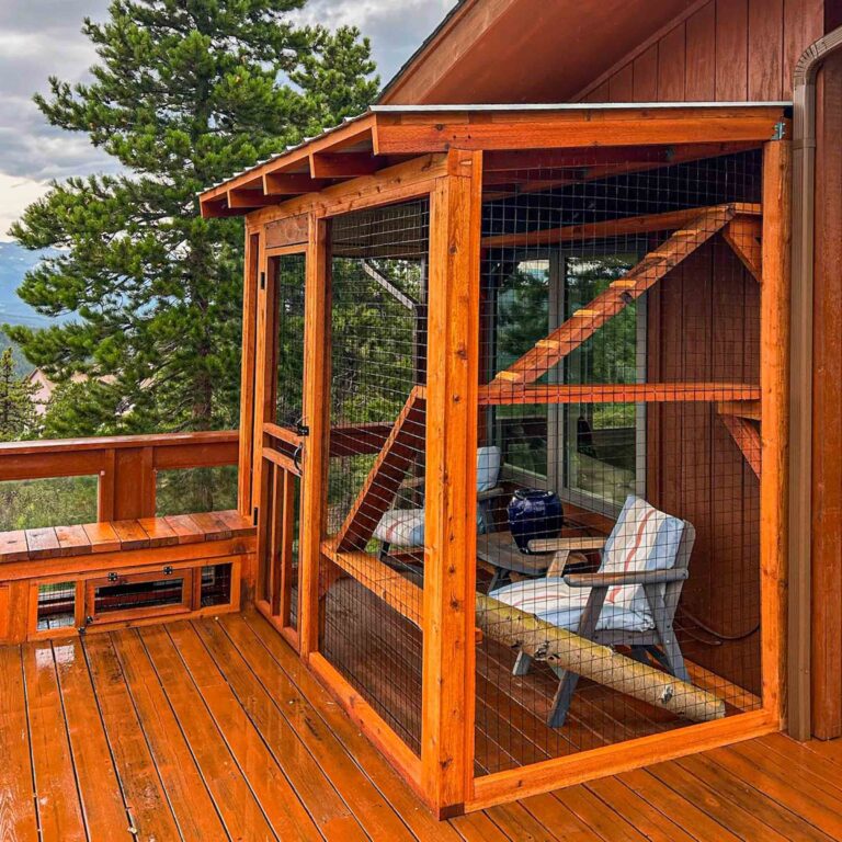 Catio structure with cedar framing and ramp beside deck bench