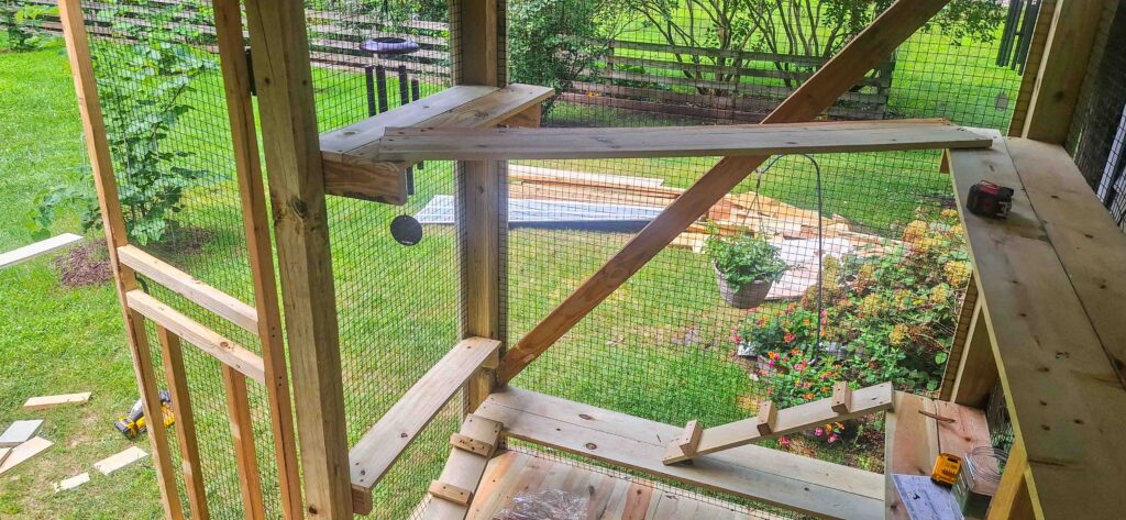 Inside view of a catio showing climbing ramps, wooden perches, and secure wire mesh walls.