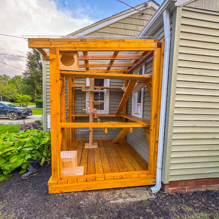 Full front view of catio enclosure with toys, ramps, and window entry.