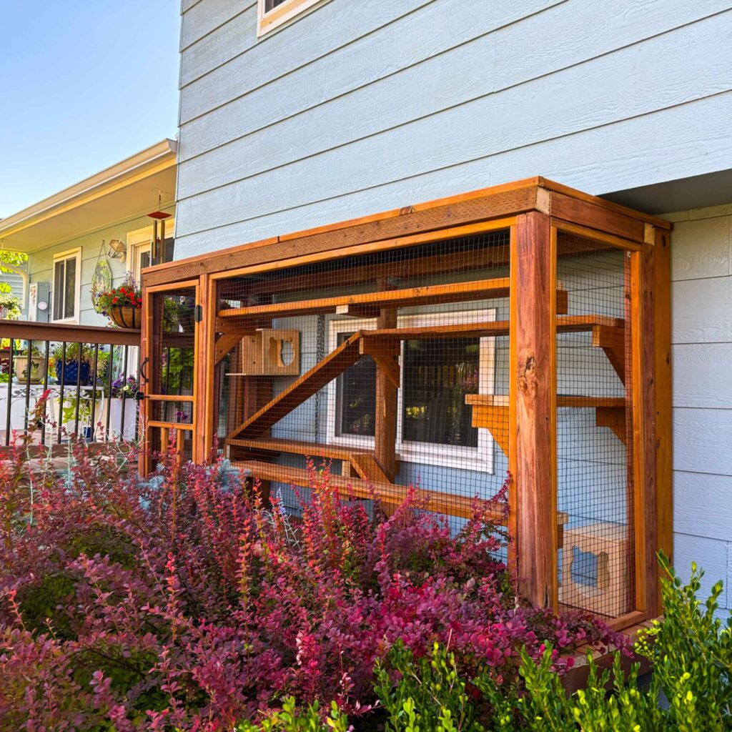 Outdoor custom-built catio attached to a home exterior, with multiple climbing shelves and ramps surrounded by colorful landscaping.