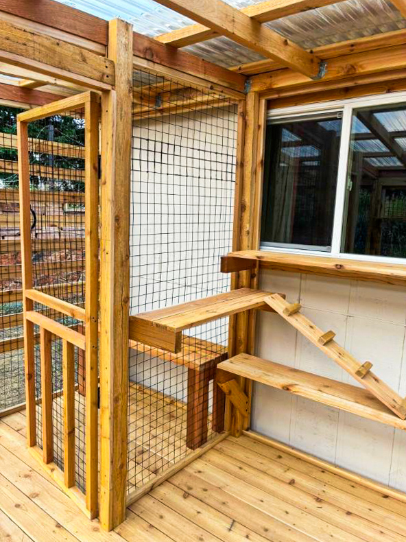 Fort Collins Colorado Catio Builds