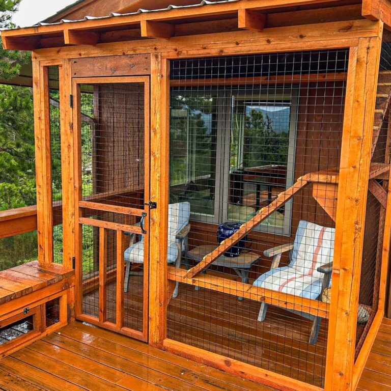 Catio with entry door and wire mesh front