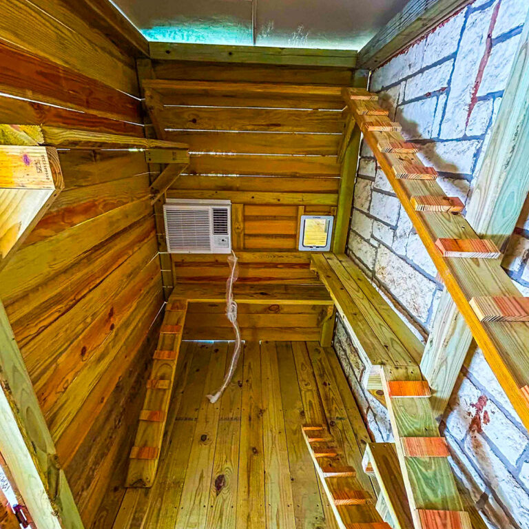 Interior view of a wooden custom catio with multiple climbing shelves and a mounted air conditioning unit.