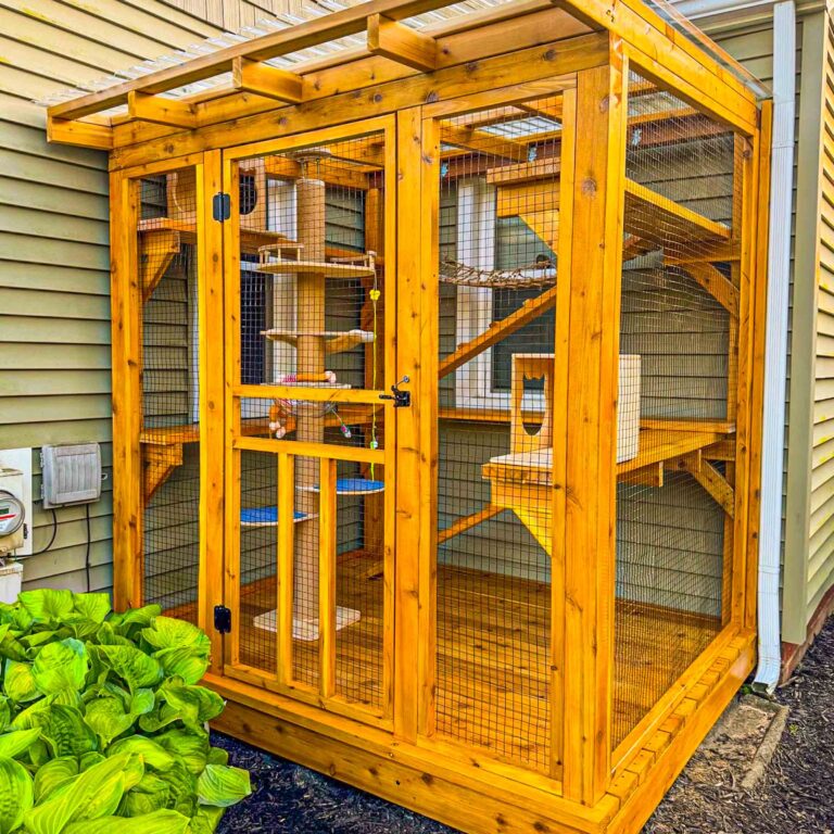 Front view of a custom wood catio with climbing structures and interior access for cats.