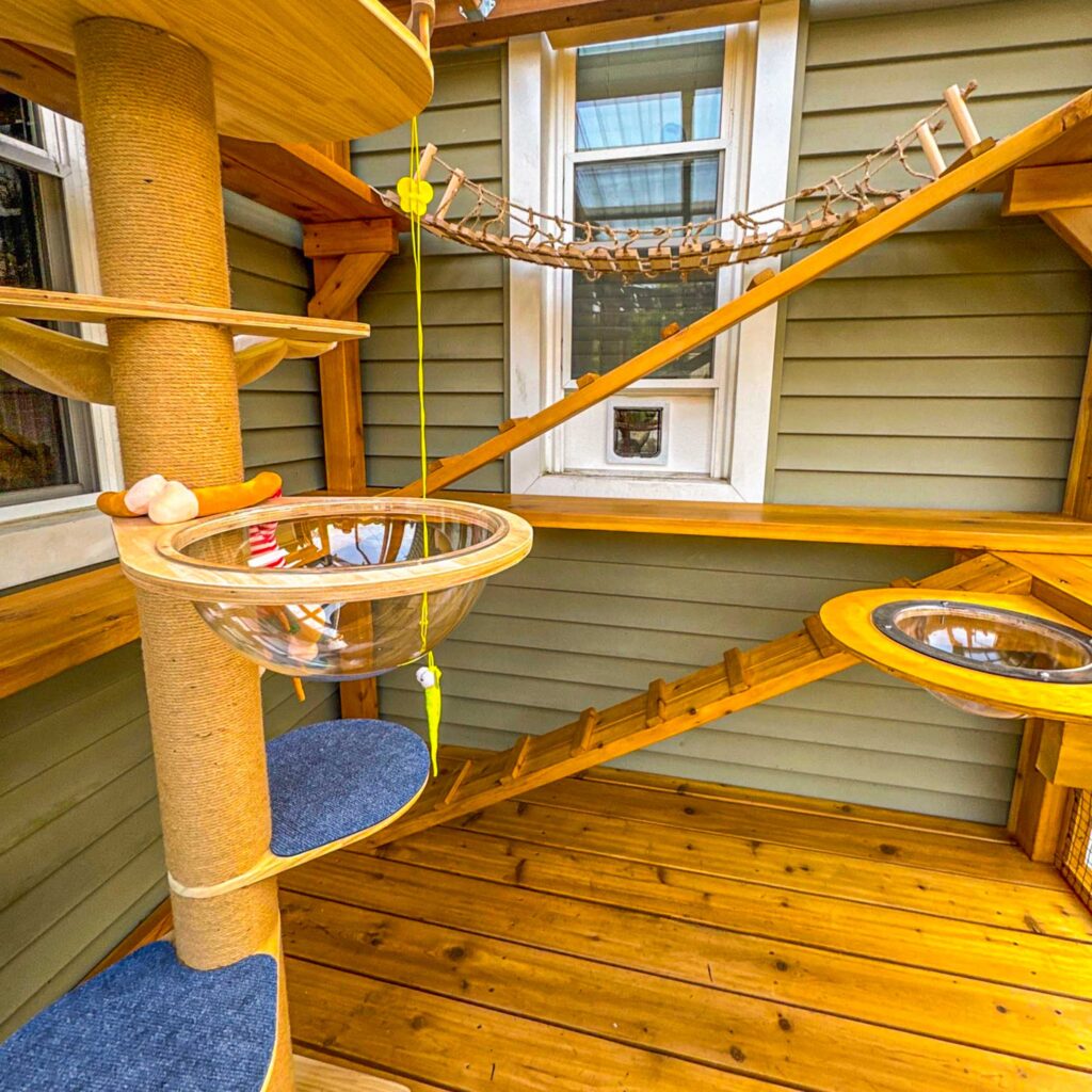 Custom catio with transparent cat bubble beds, a rope bridge, sisal-wrapped climbing post, and vertical ramps near a window.