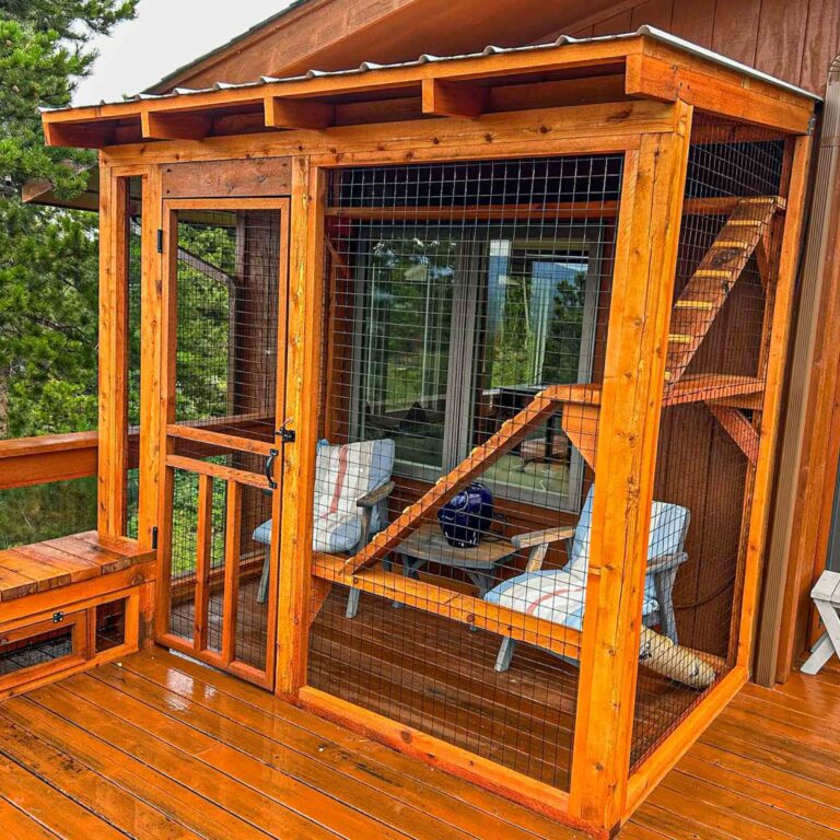 Full view of wood-framed catio with slanted ramp