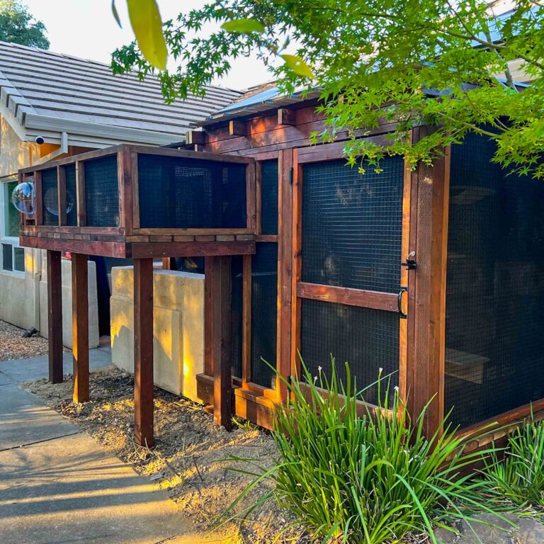 Dark-stained wooden catio with mesh walls attached to a house, featuring an elevated tunnel section and a clear bubble lookout for cats.