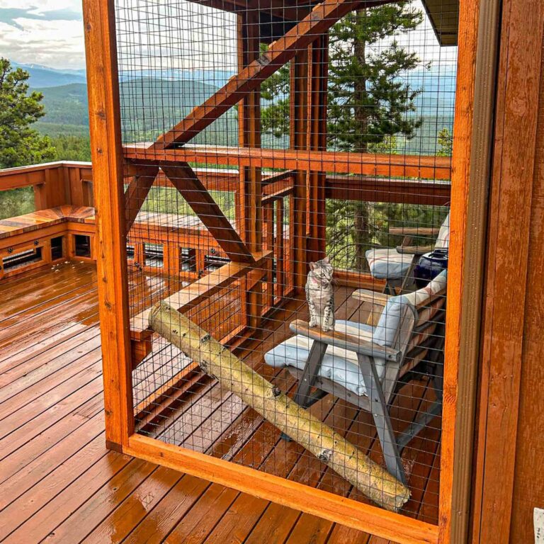 Enclosed catio on deck with cat sitting inside