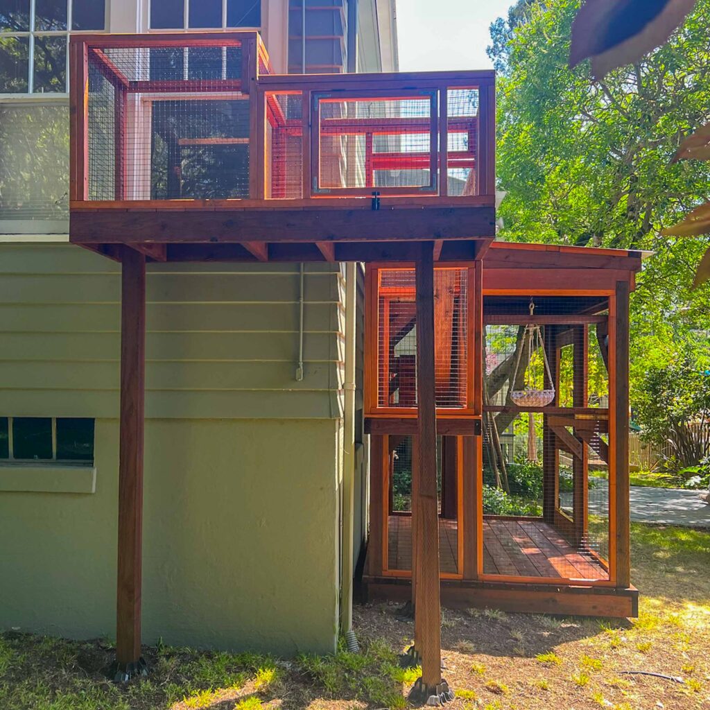 Large catio enclosure with catio tunnel connected to second story window and wooden frame against green house