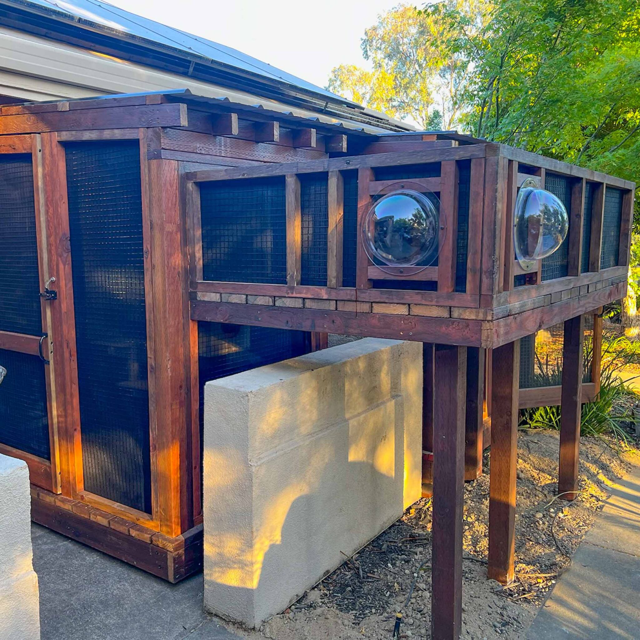 Close-up of a catio tunnel with two bubble windows extending from a large wooden enclosure.