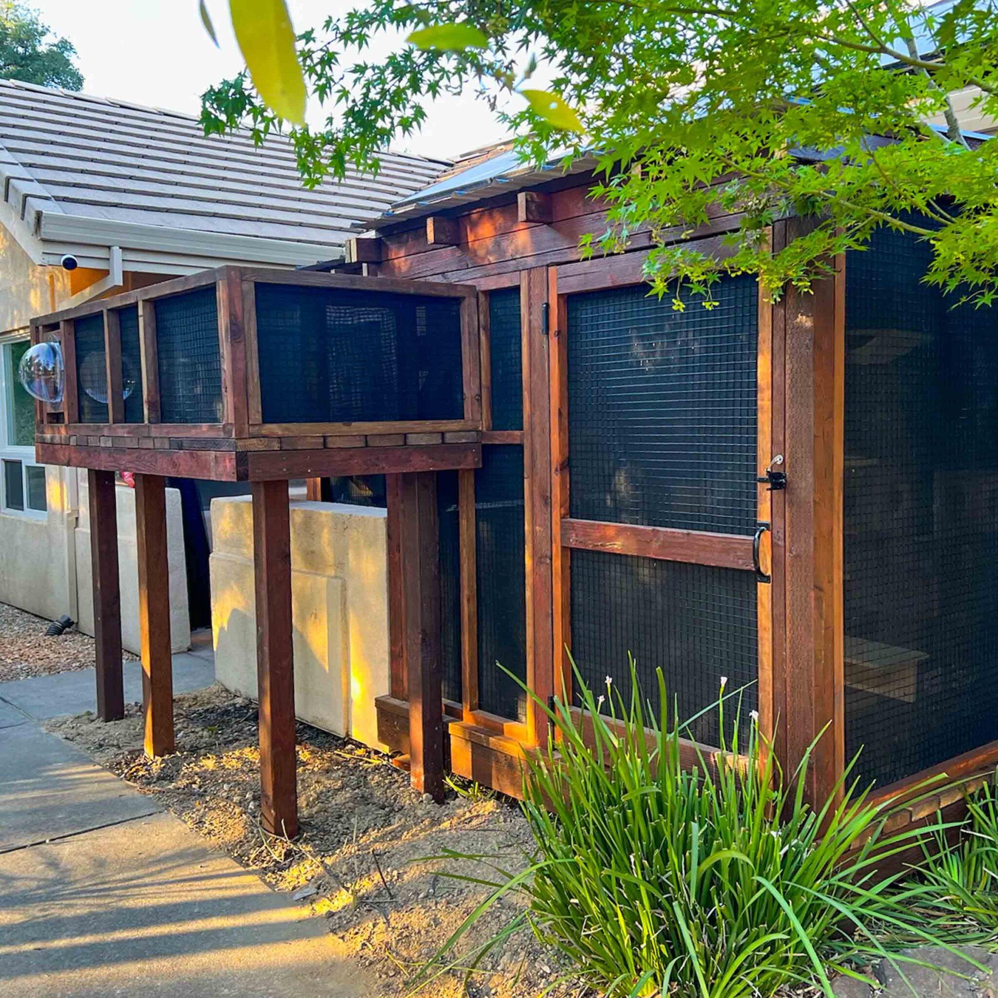 A side view of a large wooden catio with black mesh panels and elevated tunnels attached to a home.