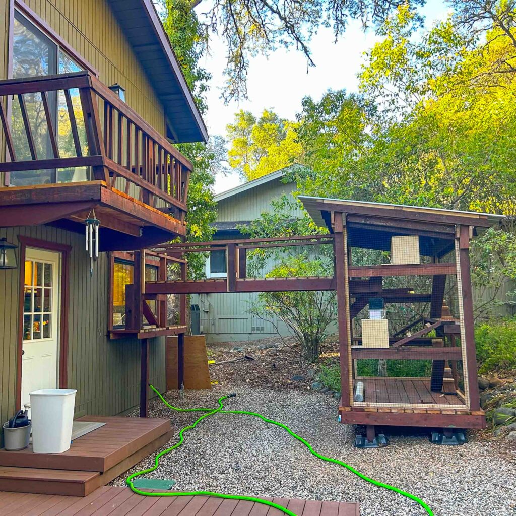 Elevated catio with long bridge tunnel connecting to kitchen window to large outdoor enclosure