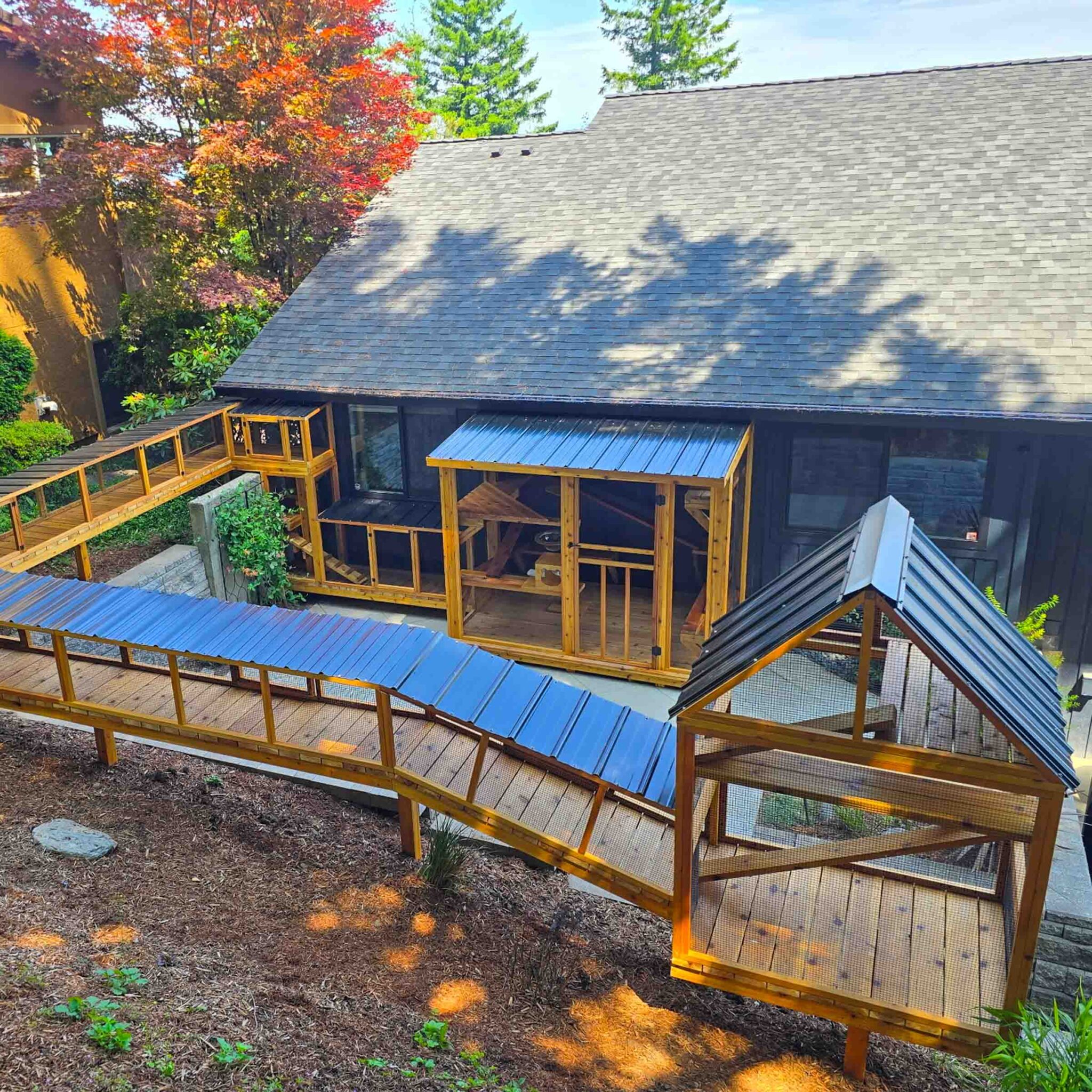 A wooden catio system with covered tunnels weaving across a yard, leading into house-connected enclosures.