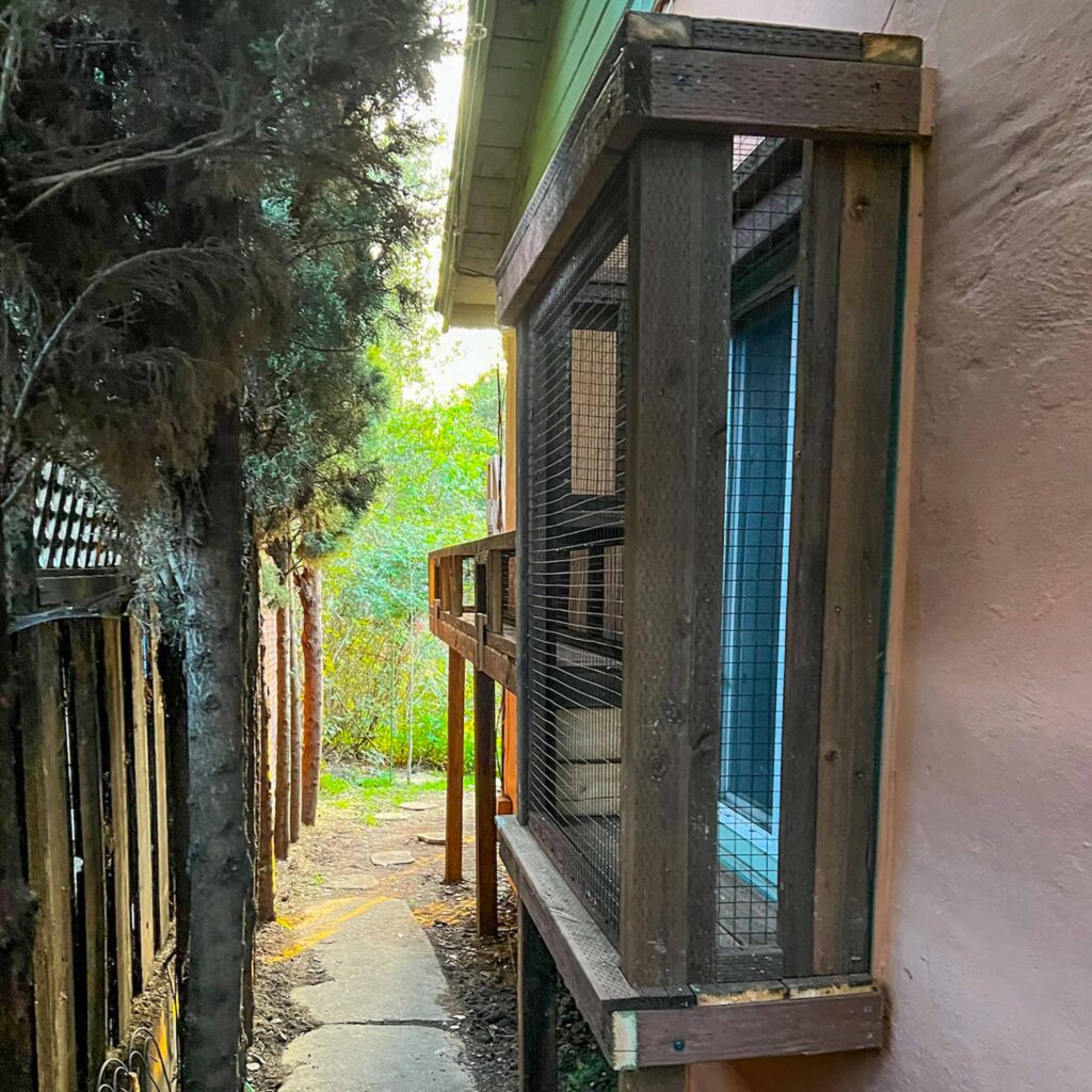 Side catio tunnel built along narrow walkway with dark wood frame and mesh siding attached to house window