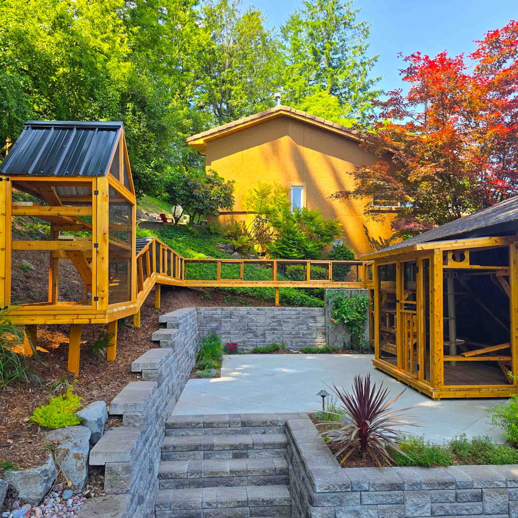 A multi-level catio complex with long wooden tunnels connecting enclosures along a landscaped hillside.
