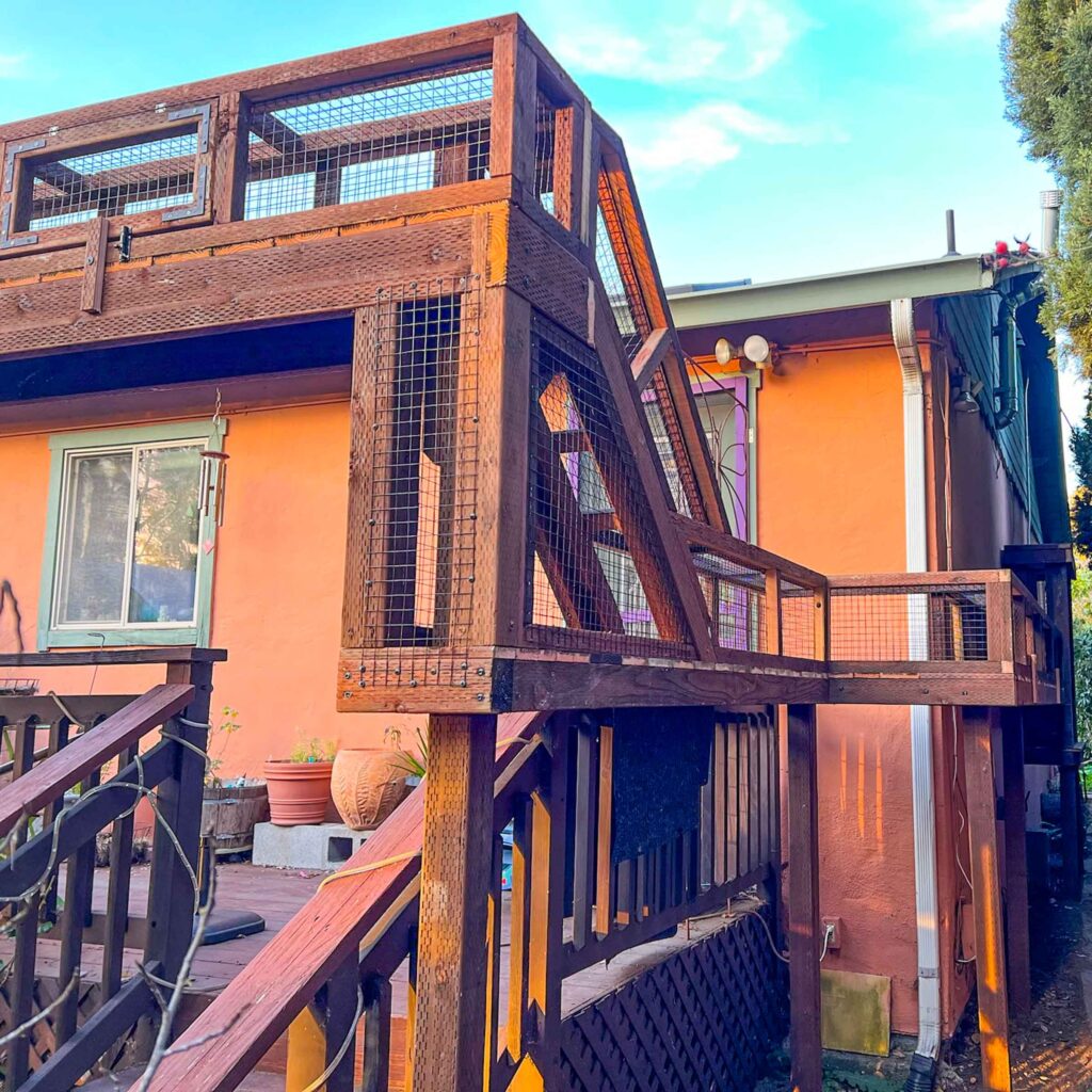 Elevated angled catio tunnel with dark wood frame and mesh walls leading from deck to outdoor enclosure