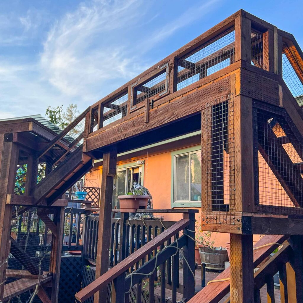 Elevated bridge-style catio tunnel with dark wood frame and mesh panels connecting to home balcony