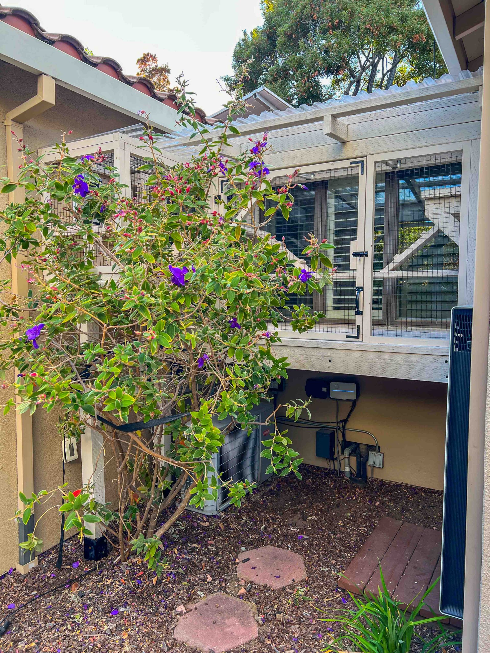 The Hammock Hideaway Custom Elevated Catio