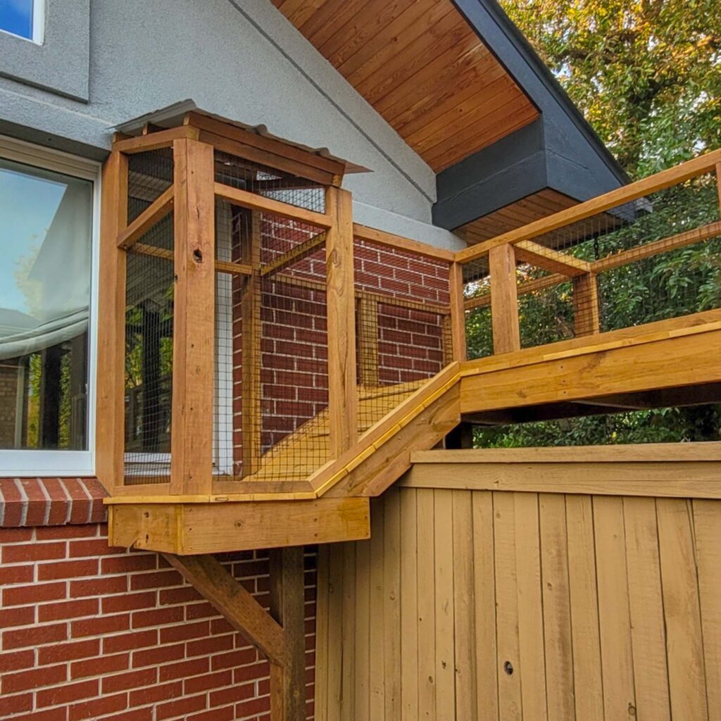 Elevated catio tunnel attached to window with angled walkway