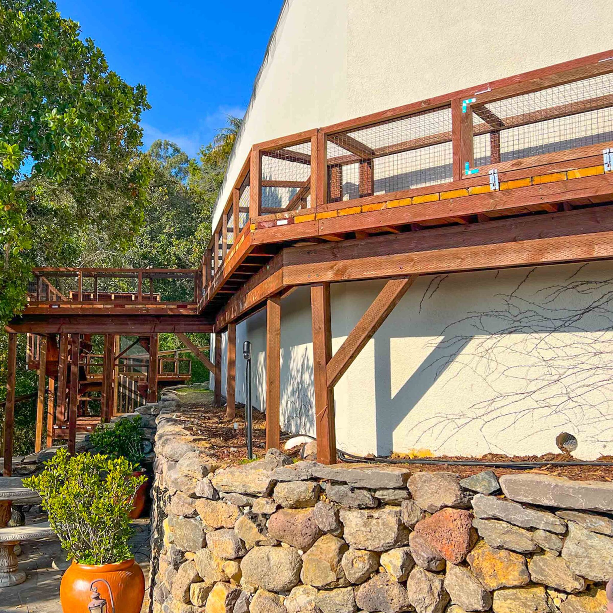 A long elevated catio tunnel runs alongside a stone retaining wall, connected to a multi-level wooden enclosure.