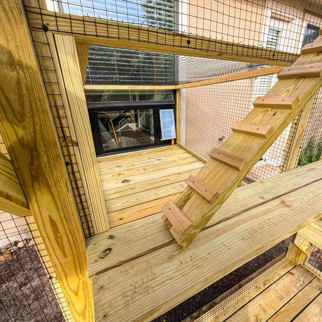 Interior view of wooden catio with natural wood flooring, mesh walls, and steep climbing ramp leading to elevated platform