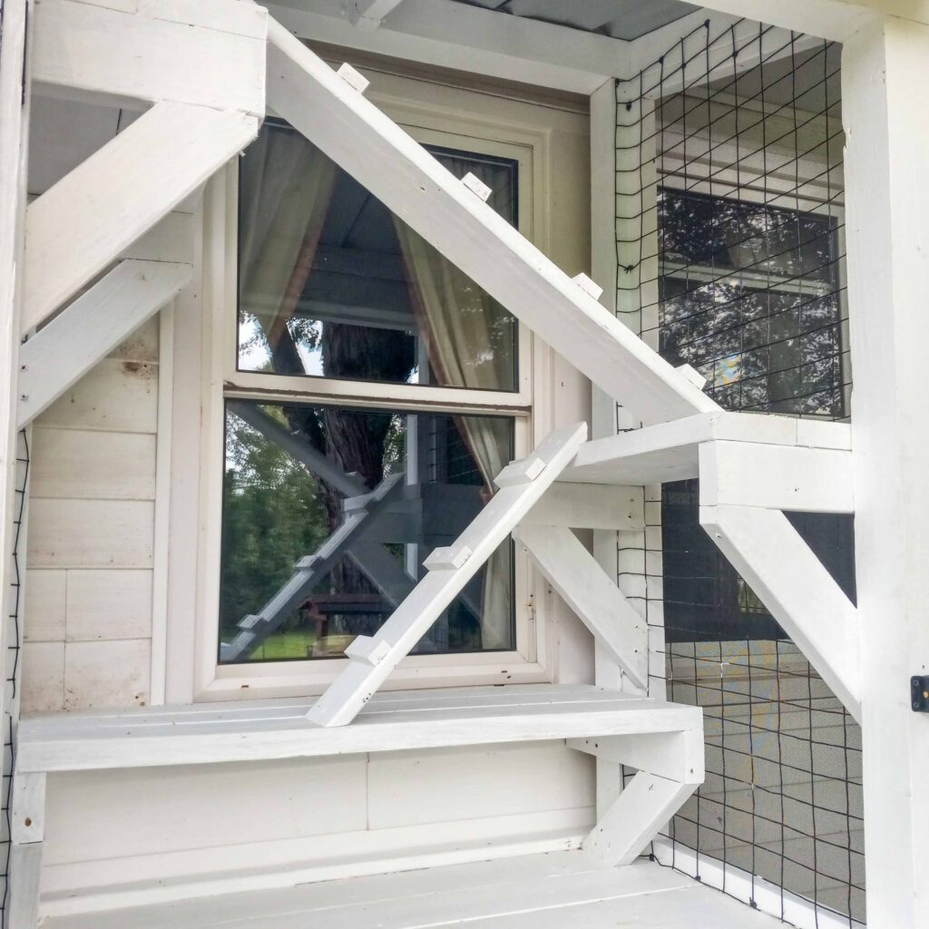 Close-up of a custom catio window entry with white wooden shelves and steps, leading outdoors through mesh wiring.