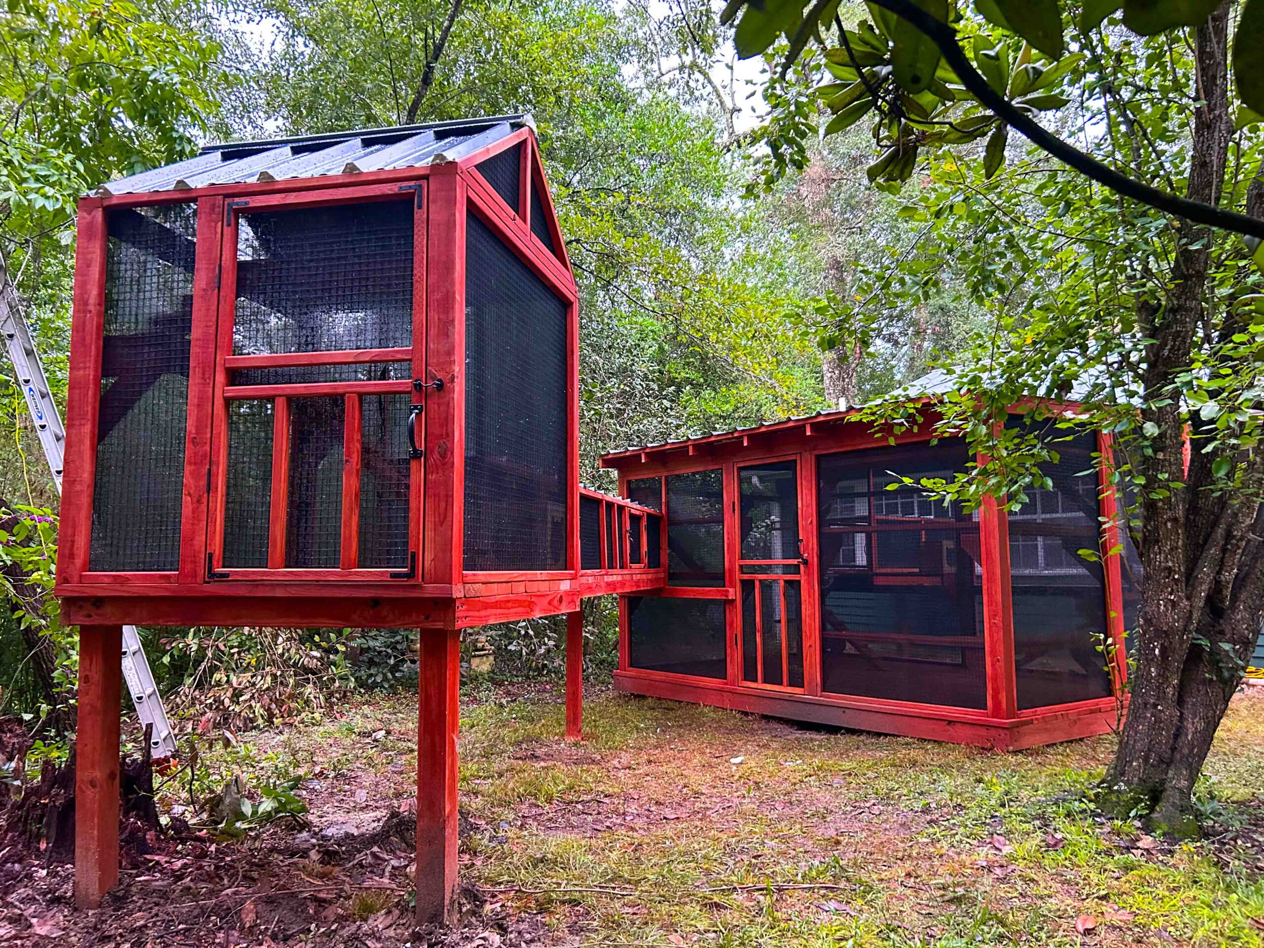 Covington Louisiana Painted Pressure Treated Catio