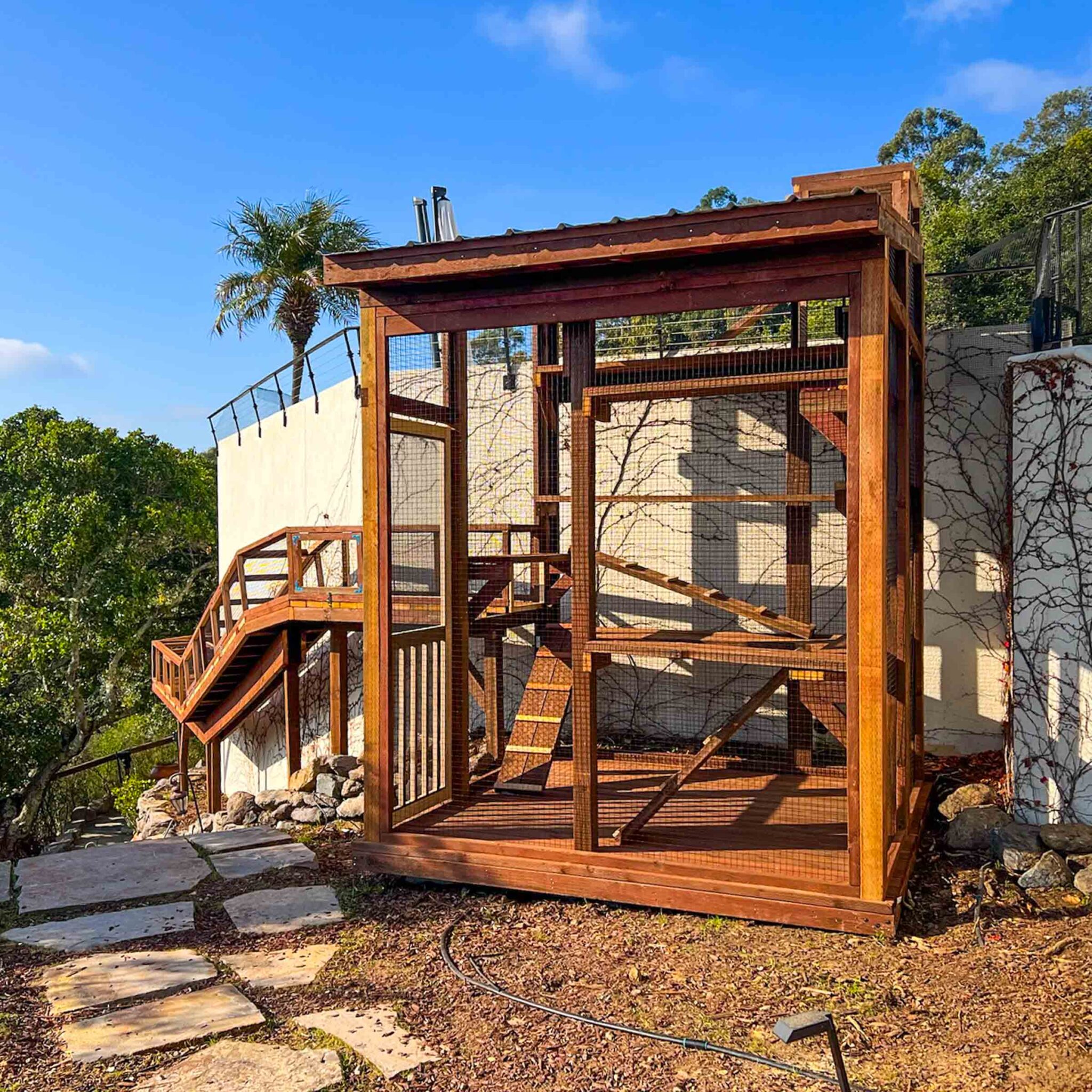 A tall wooden catio with ramps and multiple perches stands beside a home, connected to long elevated tunnels.
