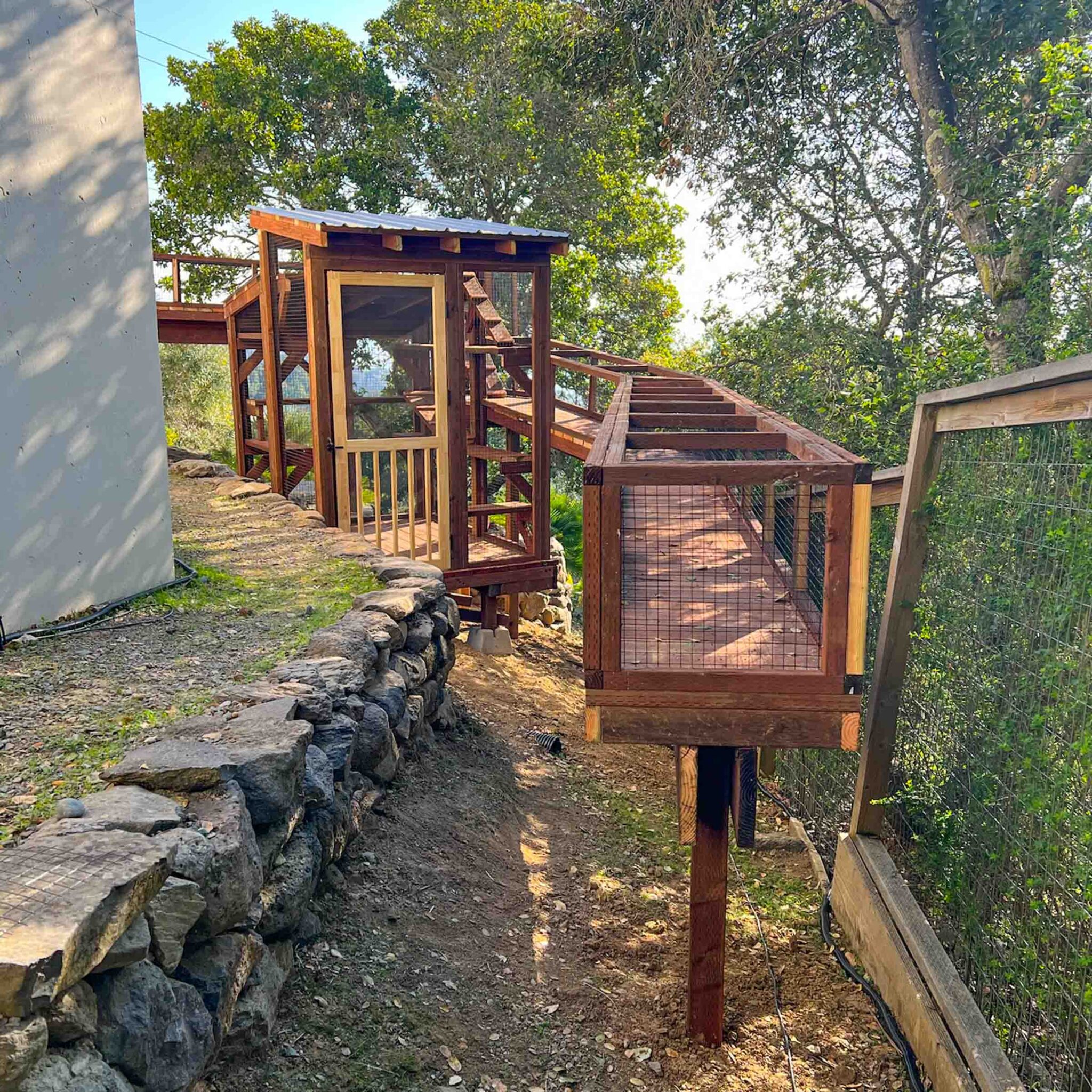 A catio with a long raised tunnel extending along a rocky garden wall, connected to a wooden enclosure.
