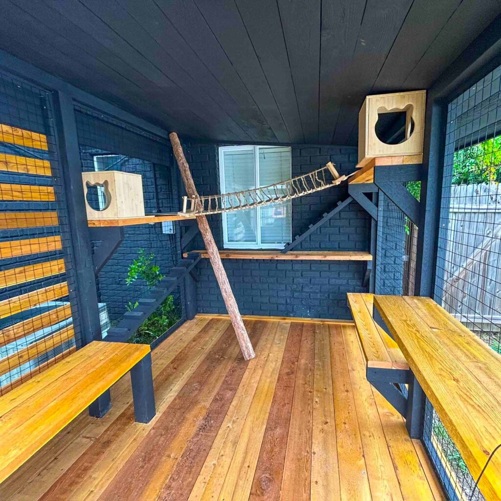 Spacious custom catio with climbing shelves, wooden bridge, and cozy cube boxes for cats.