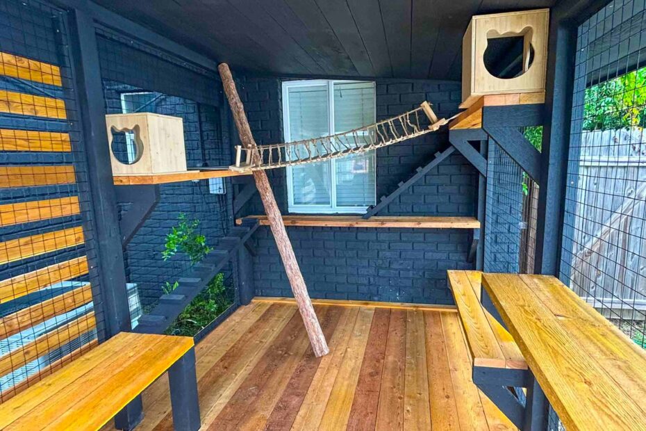 Spacious custom catio with climbing shelves, wooden bridge, and cozy cube boxes for cats.