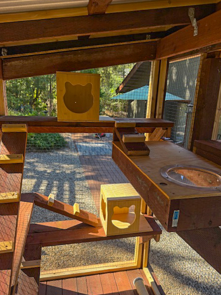 Interior view of a catio in Penn Valley, CA showing climbing ramps, cat-shaped boxes, and a built-in feeding station.