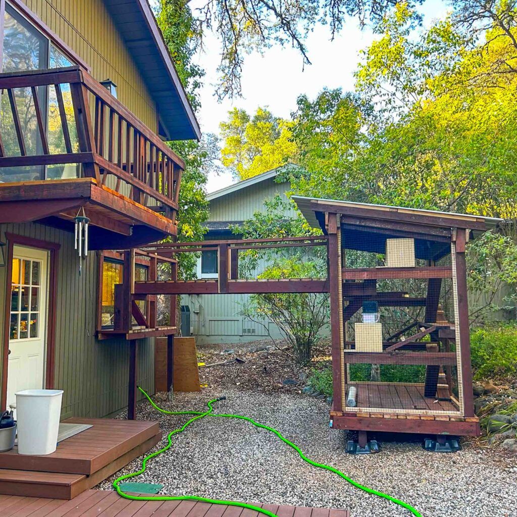 Elevated catio with long enclosed bridge connected to a backyard structure
