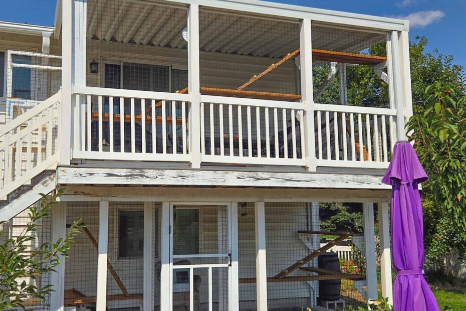 Large white screened-in catio built onto a two-story deck