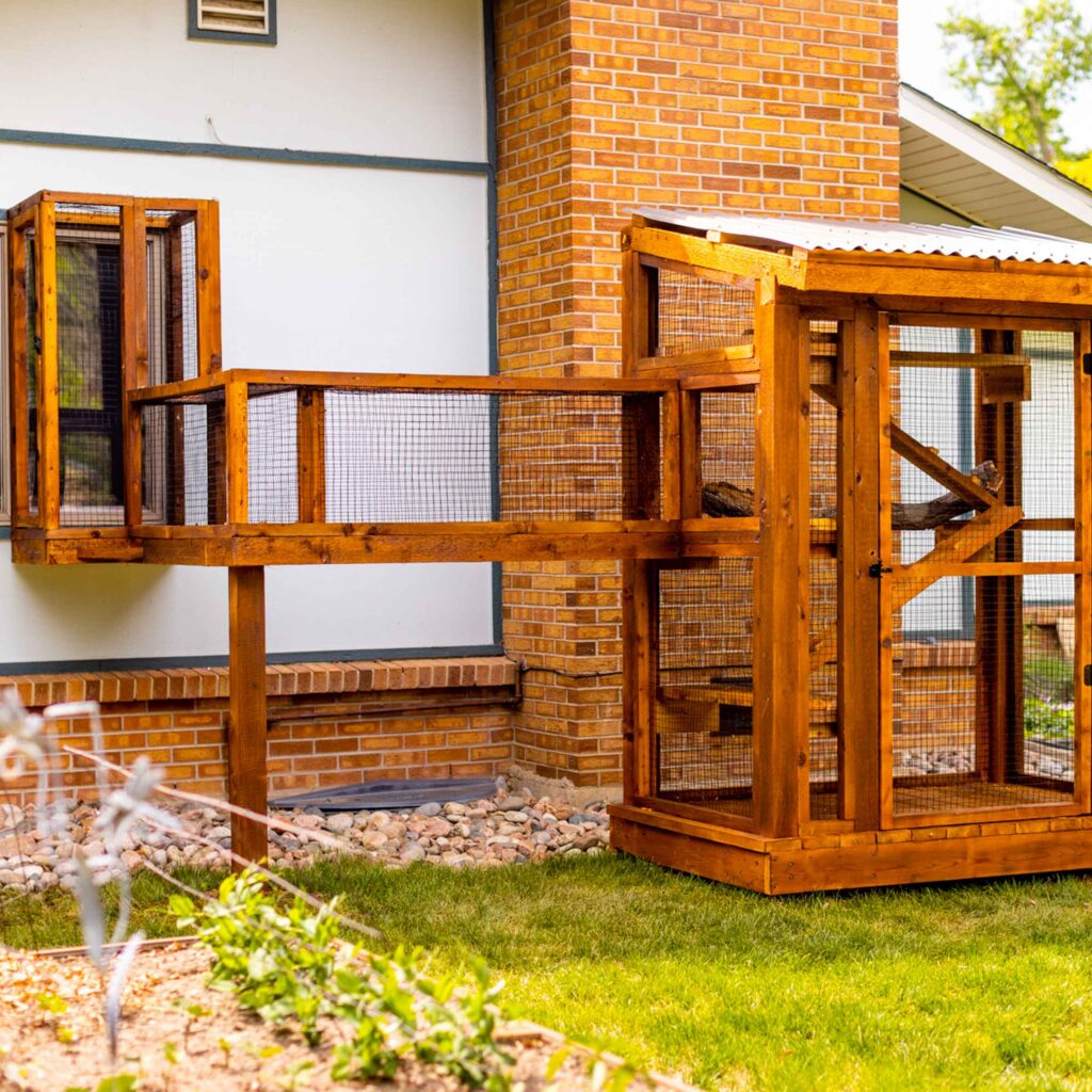 Brick house catio with elevated tunnel leading to large outdoor enclosure