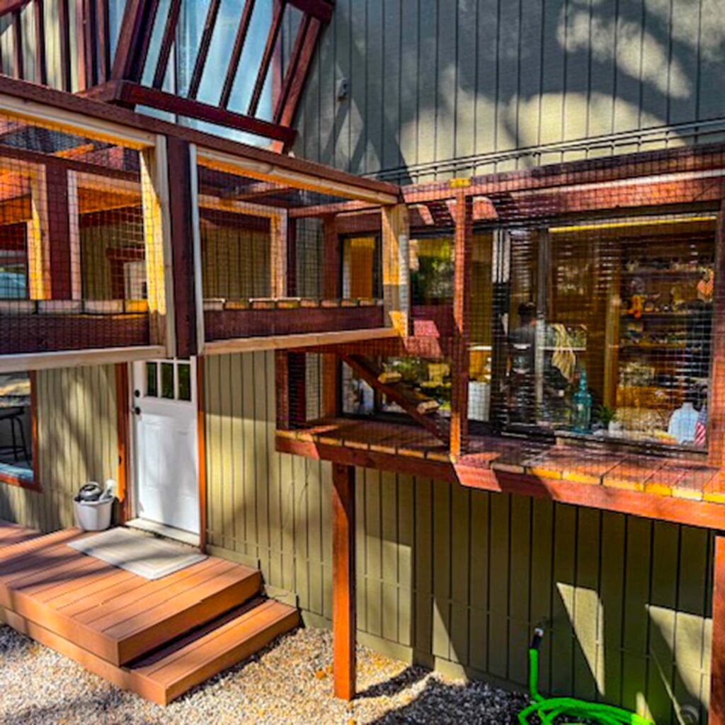 Custom catio with elevated tunnels connecting windows and outdoor space