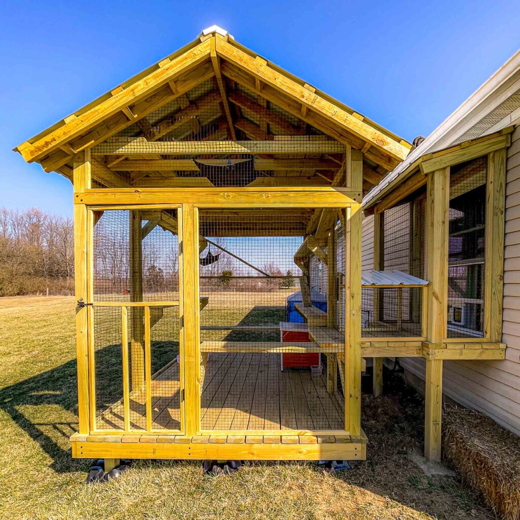Large custom catio with full wooden frame, gabled roof, and tunnel entry connected to house