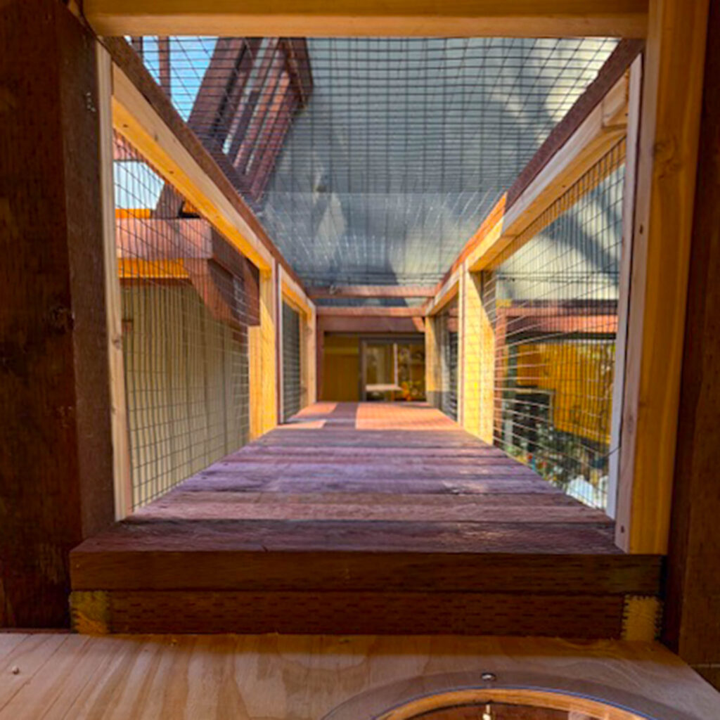 Tunnel-style catio corridor with wood flooring and mesh walls connecting house to larger enclosure.