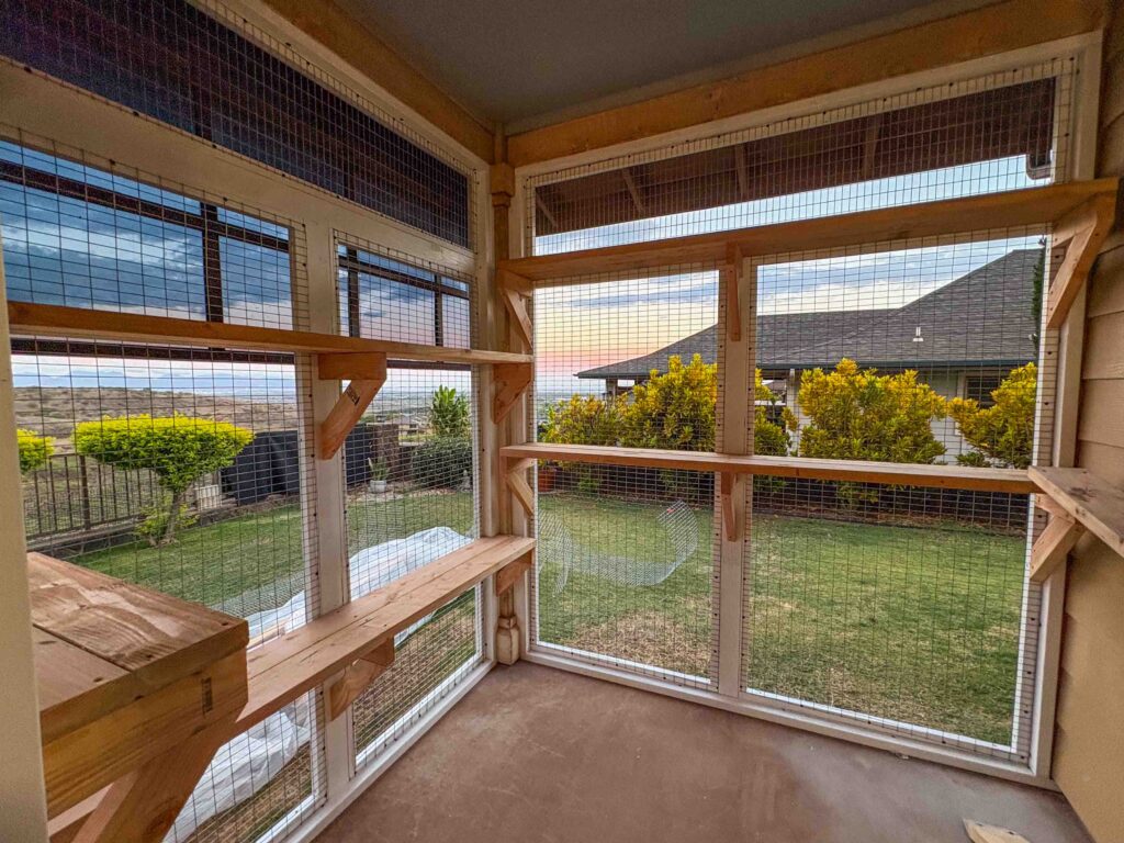 Panoramic interior view of a Kapolei, Hawaii custom catio, featuring wide wooden ledges, mesh walls, and a view of tropical greenery and distant hills.