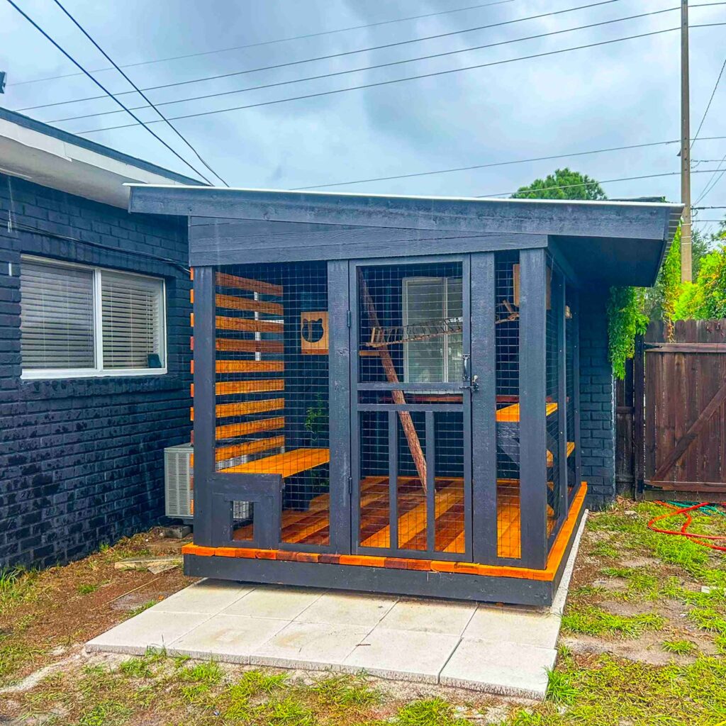 Front view of modern backyard catio with black framing, mesh walls, and a cat-head cutout window box.