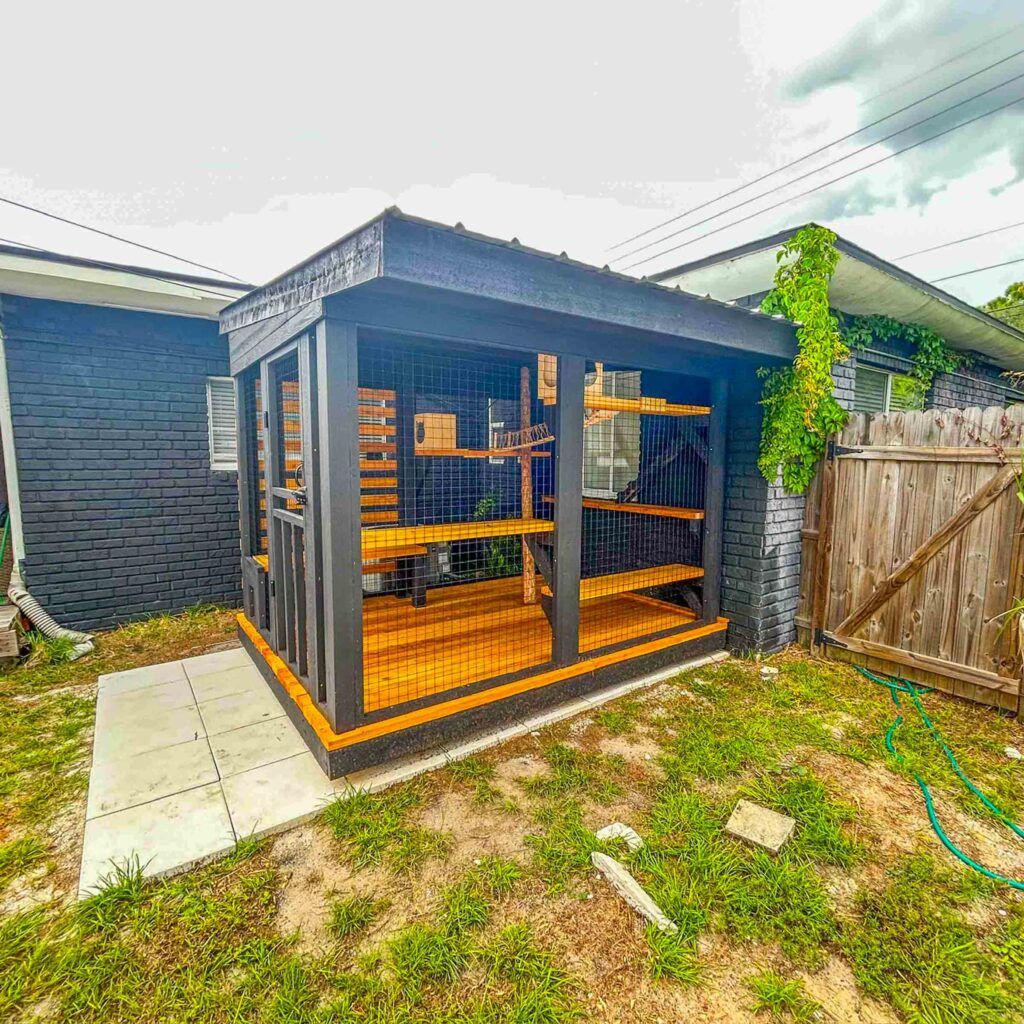 Backyard catio attached to a dark-painted house, featuring mesh panels and yellow wood shelves.