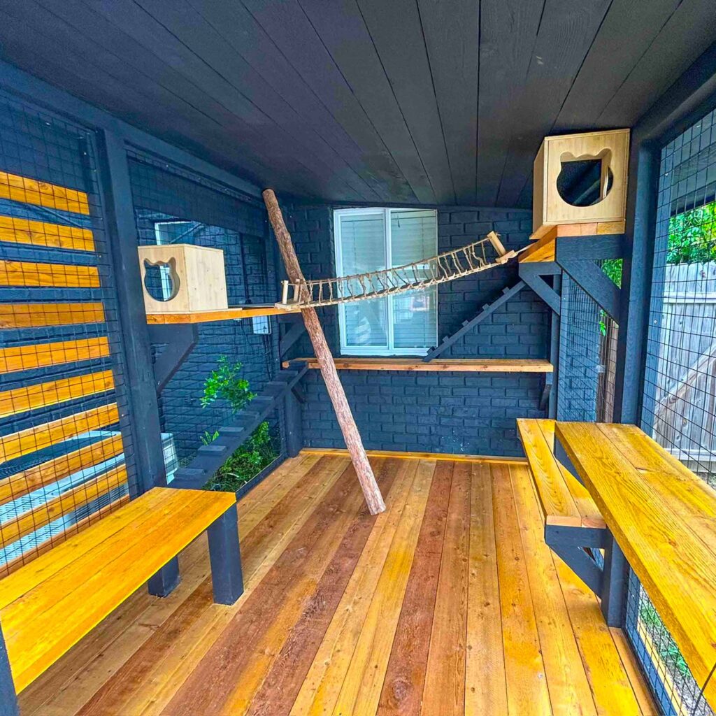 Spacious catio interior with wood flooring, climbing bridge, and cubed hideouts connected by ramps.
