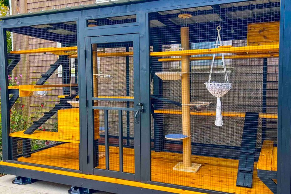 Large enclosed outdoor catio attached to a home, featuring ramps, bubble beds, and a hanging hammock.