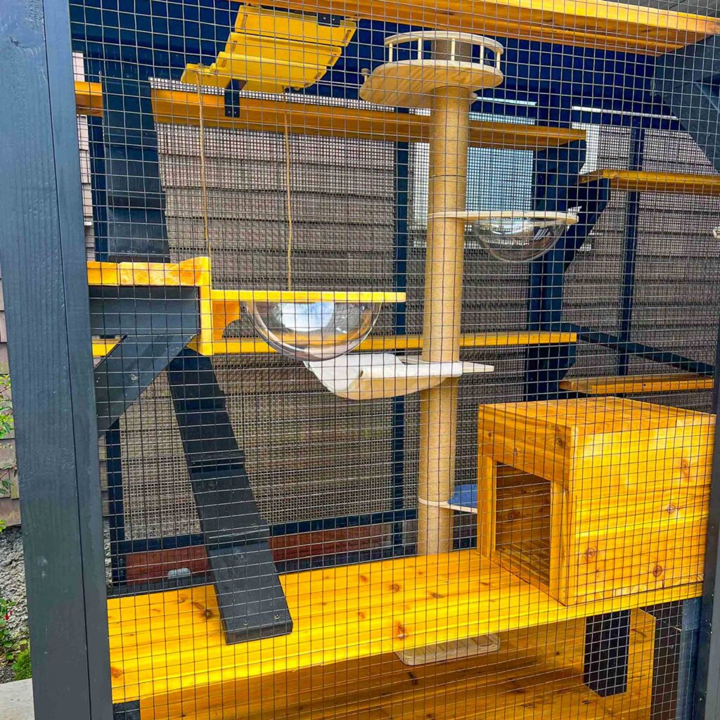 Interior view of a modern catio showing wood shelves, ramps, bubble domes, and a cozy cubed shelter.