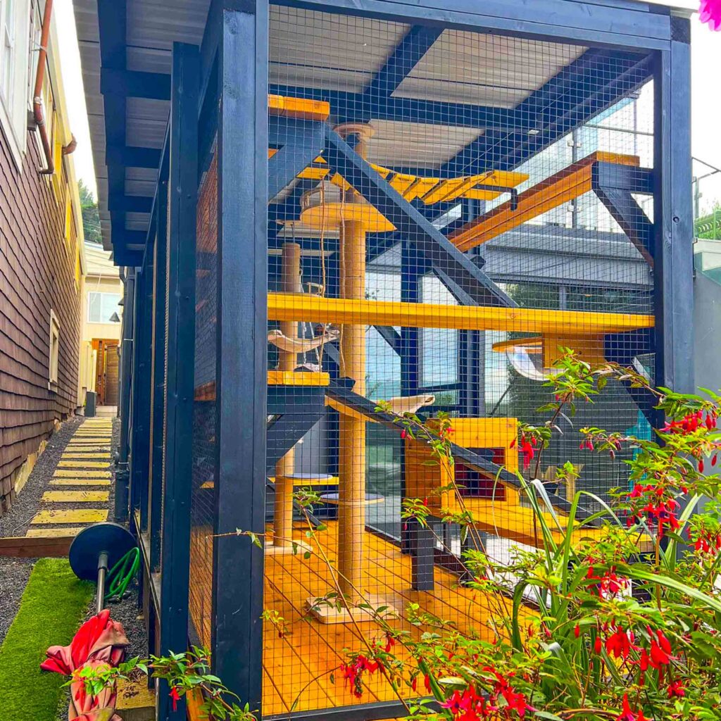 Custom outdoor catio with black frame and bright yellow platforms, featuring multiple climbing ramps and lounging areas for cats.