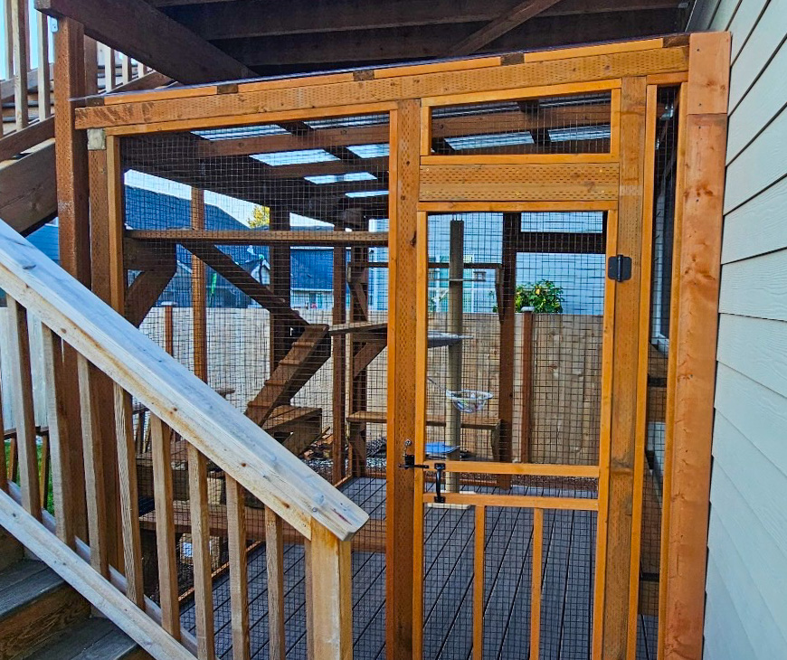 Custom Catio Builds in Yelm, Washington