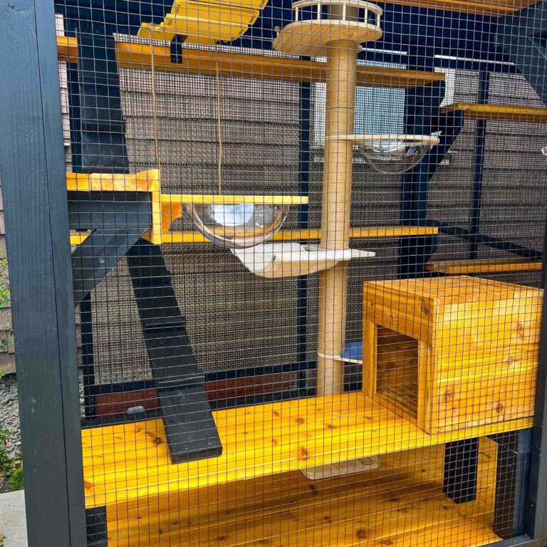 Close-up of the interior of a San Francisco catio showing clear bubble lookout domes, climbing ramps, and a cozy wooden cat house.