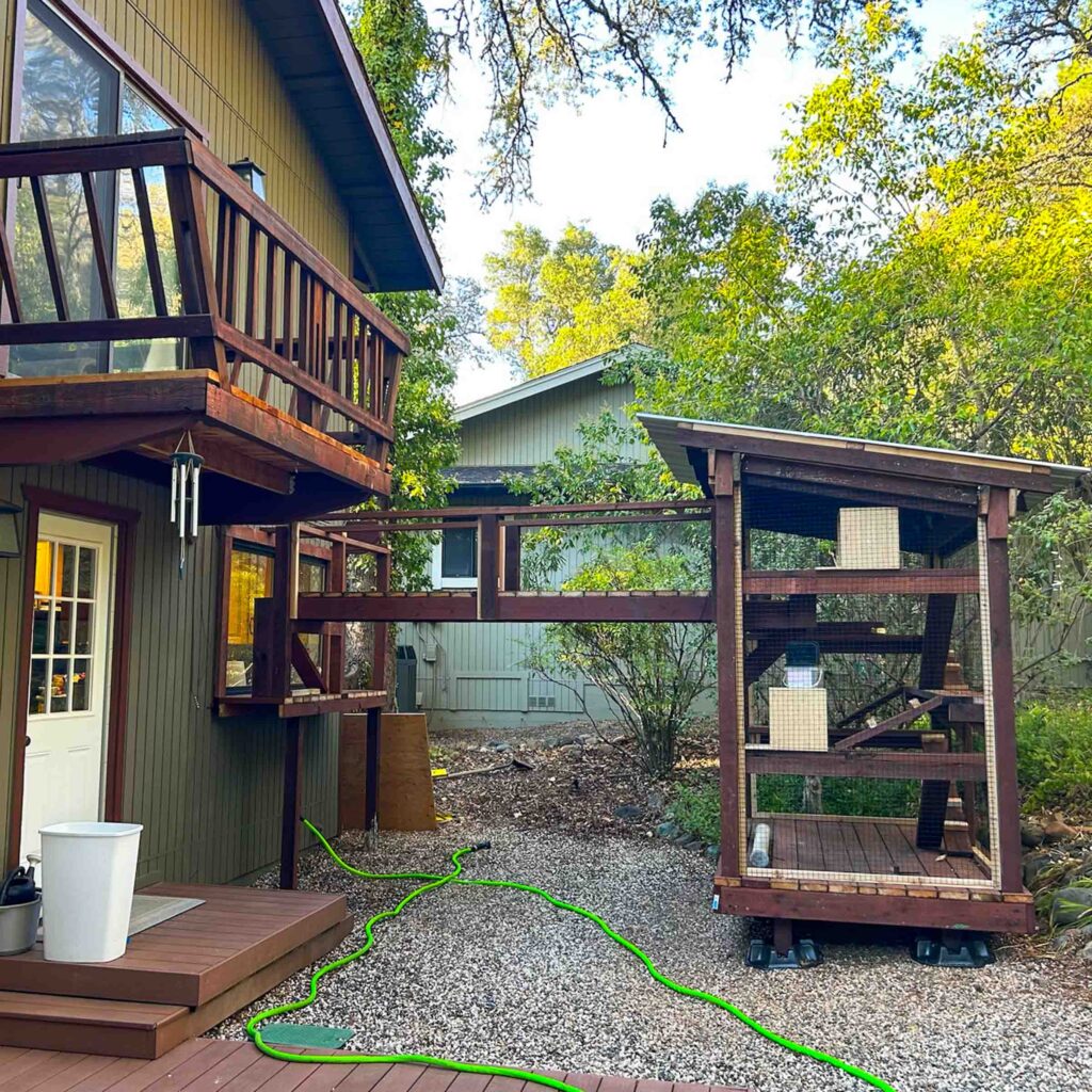 Large catio system with elevated tunnels connecting home to freestanding outdoor structure.