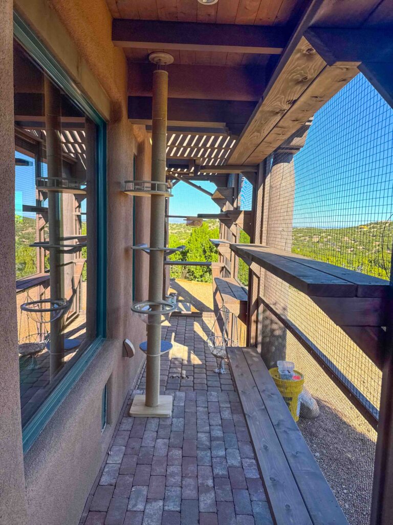 Long enclosed catio in Santa Fe, New Mexico with tiered climbing platforms, tall cat post, and panoramic mountain views through wire mesh walls.