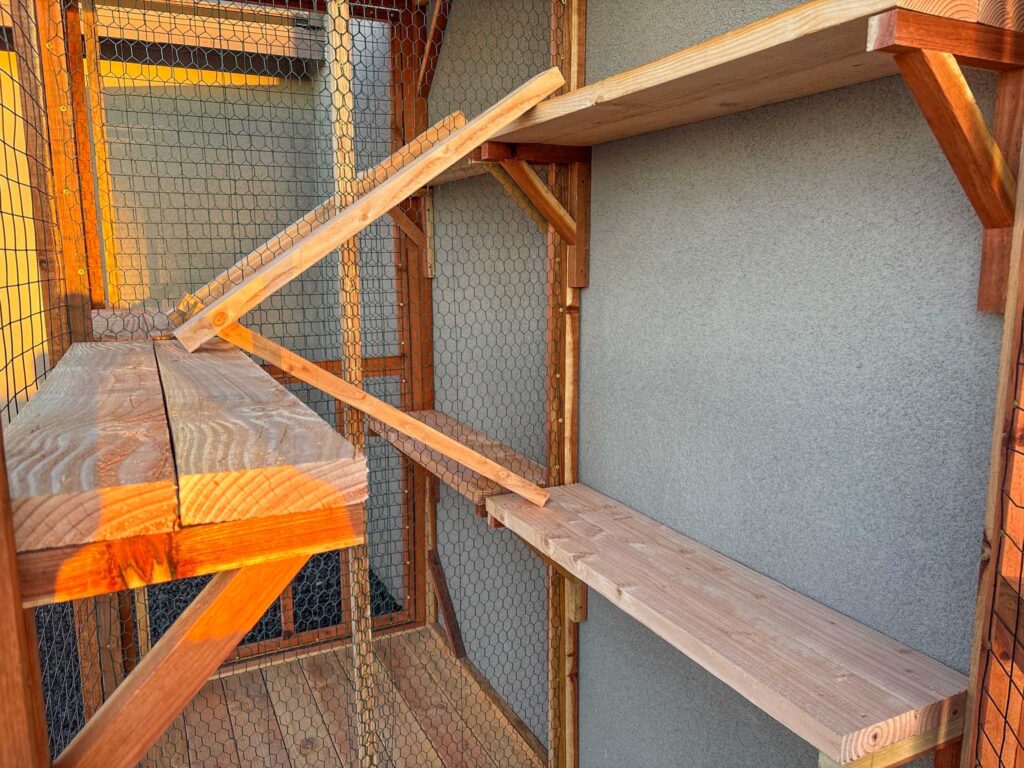 Close-up of catio interior shelves and ramps made from pressure-treated wood.